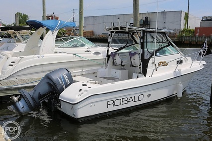 Robalo 2440