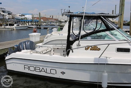 Robalo 2440