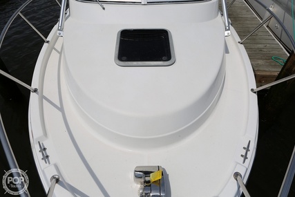 Robalo 2440