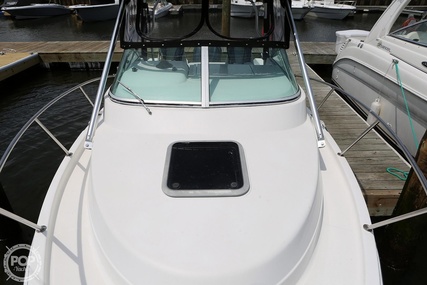 Robalo 2440