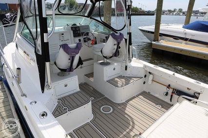 Robalo 2440