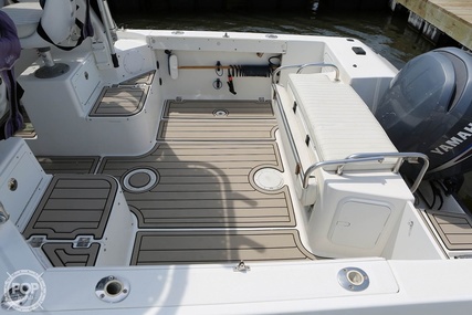 Robalo 2440