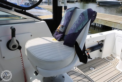 Robalo 2440