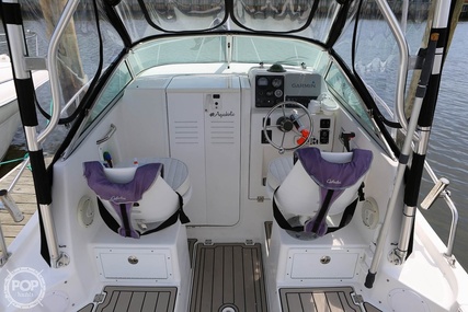 Robalo 2440