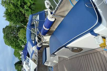 Broom Ocean 31