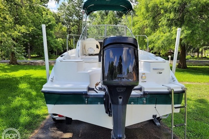 Trophy Boats 1902 Walkaround