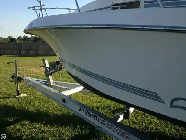 Chris-Craft 215 Sea-Hawk with Bracket