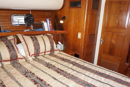 Transworld Fantail 50 Trawler