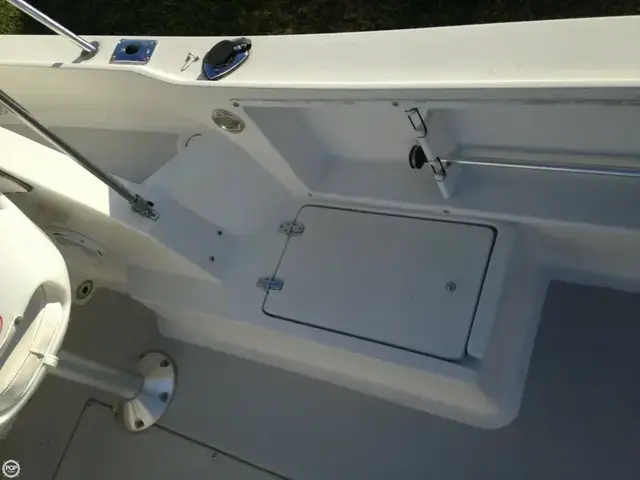 Chris-Craft 215 Sea-Hawk with Bracket