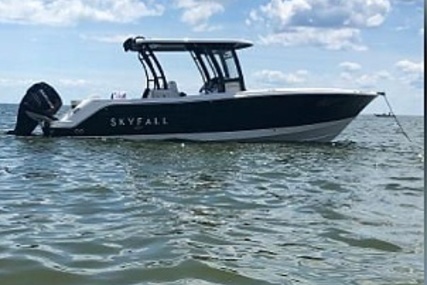 Robalo 302