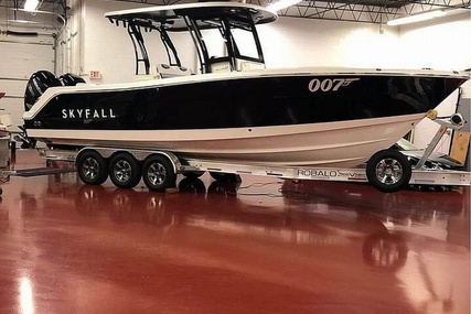 Robalo 302