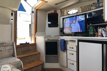 Sea Ray 37 Express Cruiser