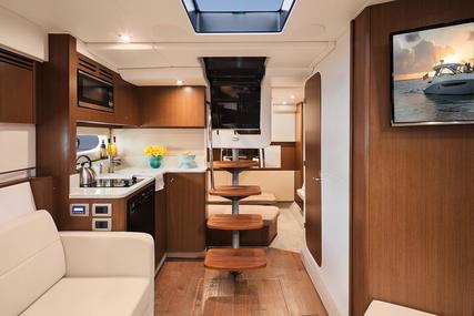 Sea Ray 350