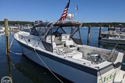 Luhrs Alura 30 Classic