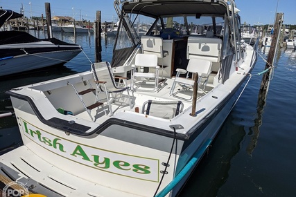 Luhrs Alura 30 Classic