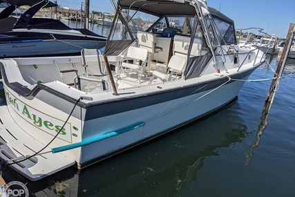 Luhrs Alura 30 Classic