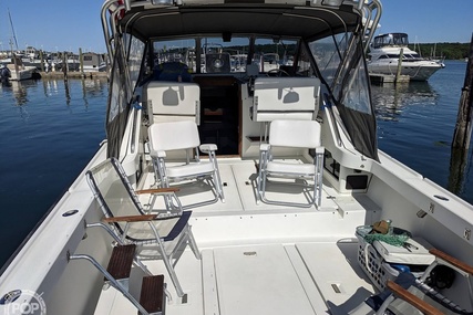 Luhrs Alura 30 Classic