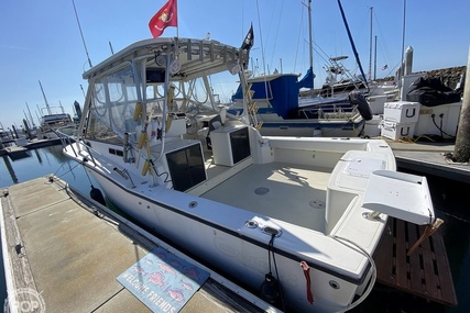 Carolina Skiff classic 28