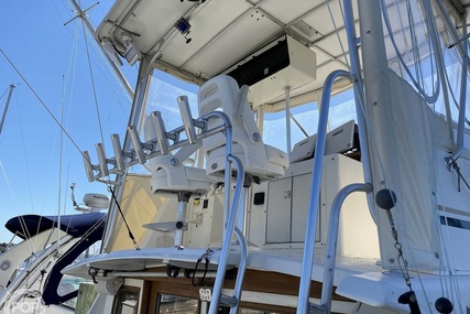 Egg Harbor 35 Sportfish