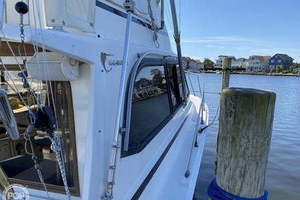 Egg Harbor 35 Sportfish