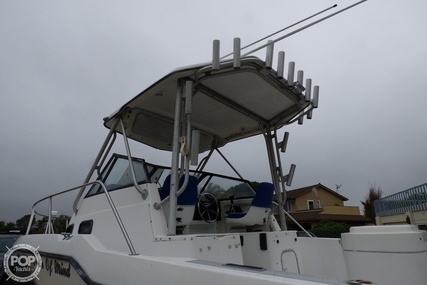 Bayliner Trophy 2502 WA