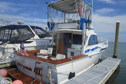 Striker 36