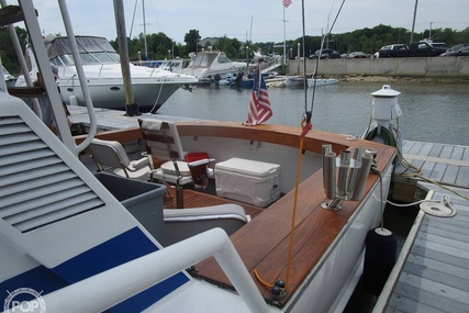 Striker 36