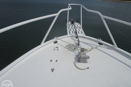 Striker 36