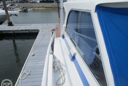 Striker 36