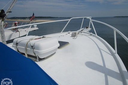 Striker 36