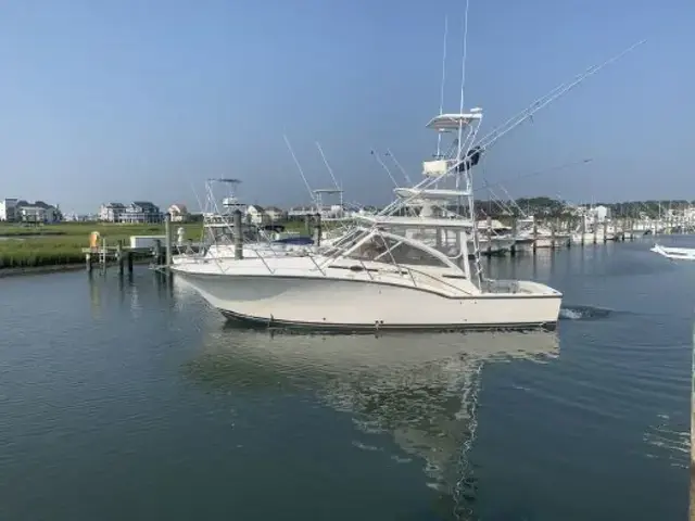 Carolina Classic 35 Express