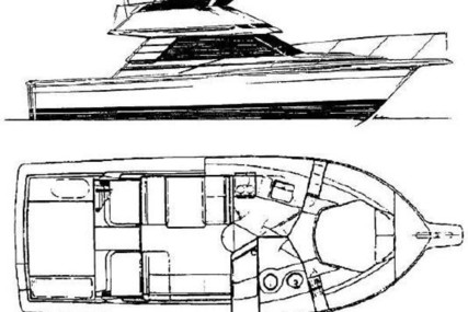 Phoenix 34 Sfx Convertible