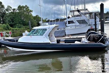 Protector Targa 33 Rib