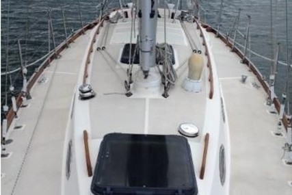 Intrepid 35