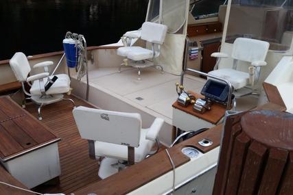 Chris Craft 316 Commander