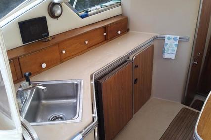 Chris Craft 316 Commander