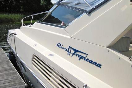 Riva Tropicana