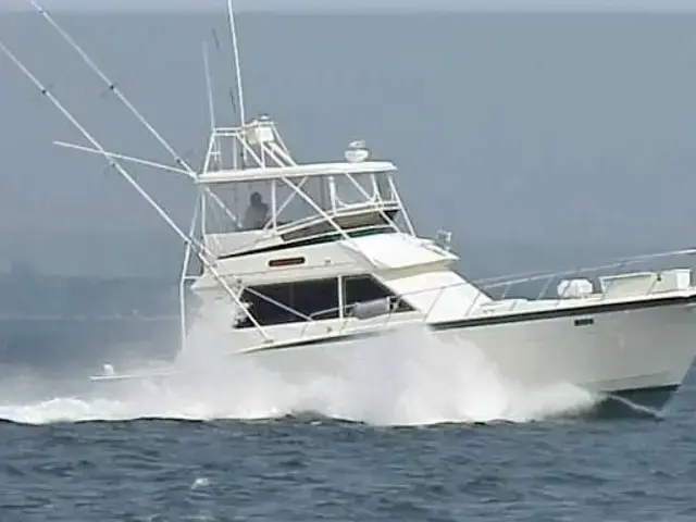 Hatteras 43 Convertible