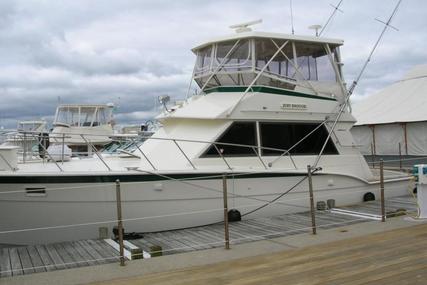 Hatteras 43 Convertible