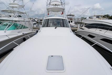 Viking 42 Sport Tower