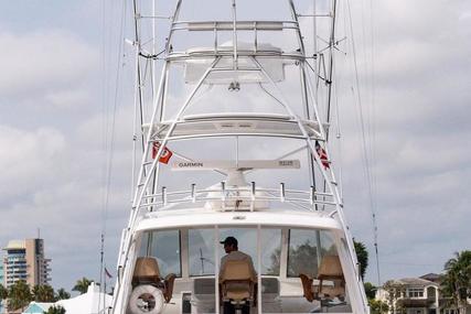 Viking 42 Sport Tower