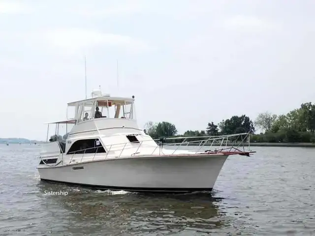 Ocean Yachts Sunliner