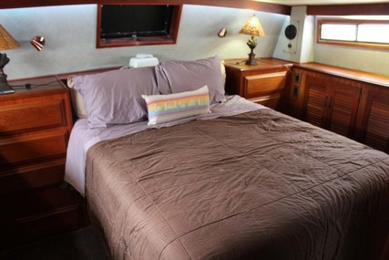 Viking 44 Double Cabin