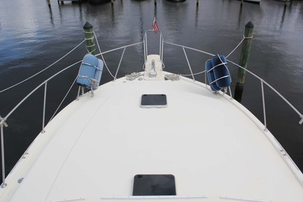 Viking 44 Double Cabin