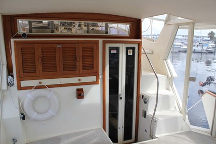 Viking 44 Double Cabin