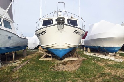 Evans & Sons Bay Boat