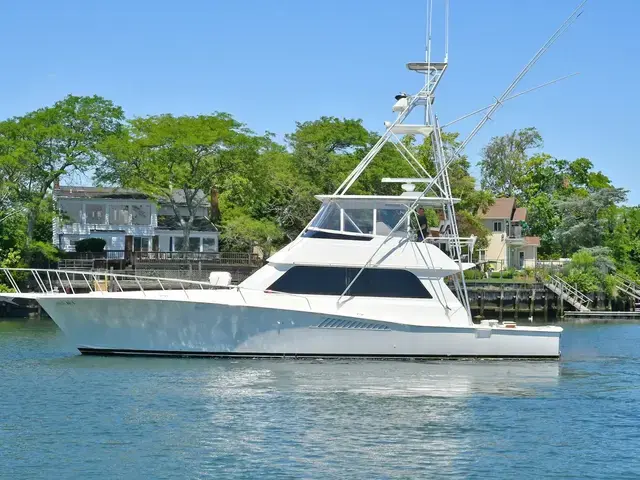 Viking 53 Convertible