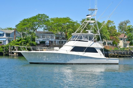 Viking 53 Convertible