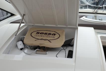 Sessa Marine C43