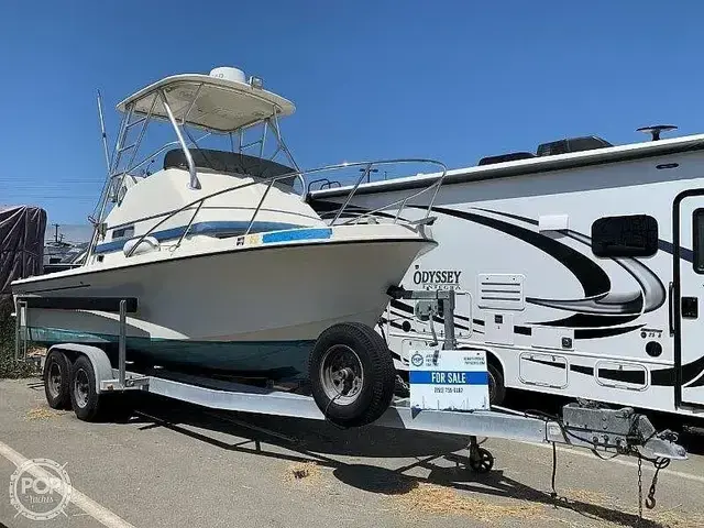 Skipjack Boats 24 Flybridge Sportsfisher